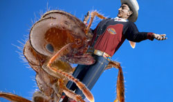 Image of giant ant grabbing Big Tex