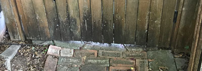 fence mold